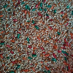 Alpiste Vitaminado